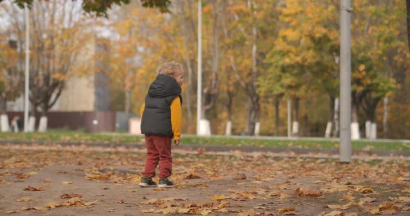 Happy Little Boy in Autumn Park, Viewing Nature and Rejoicing By Falling Leaves, Happy Childhood