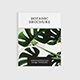 Botanics - A4 Botanical Brochure Template - GraphicRiver Item for Sale