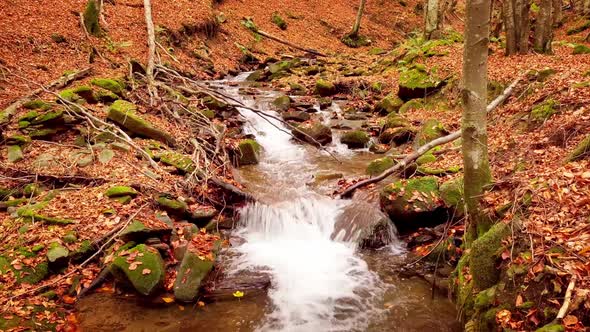 Footage of Wonderful Mountain Stream in the Shypit Karpat National Park