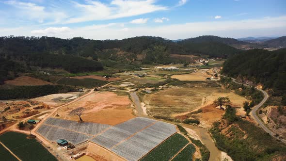 Scene of farmland in Lam dong in sunny day. Aerial circling