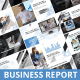 Business Report - VideoHive Item for Sale