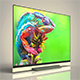 LG oled TV - 3DOcean Item for Sale