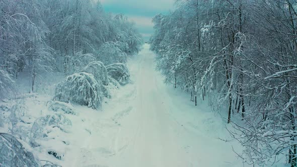 Cinematic Aerial View of a Cold Snowcovered Forest at the Top of a Hill