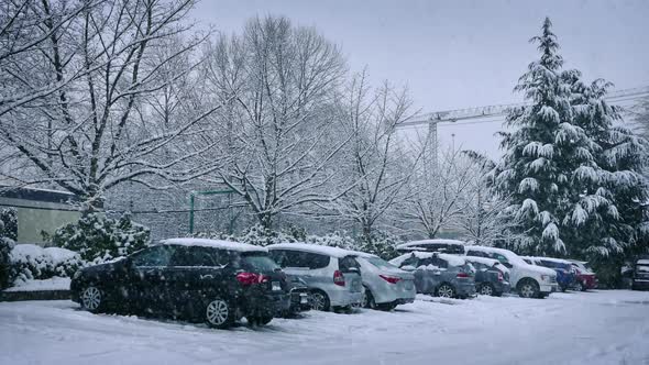 Cars Parked In Heavy Snowfall