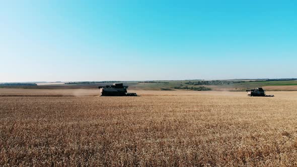 Harvester-threshers Are Moving Along the Wheat Field