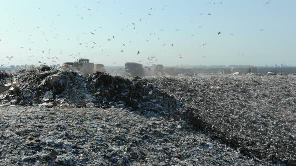 Modern Bulldozers Work on Large Garbage Dump Top Aerial View