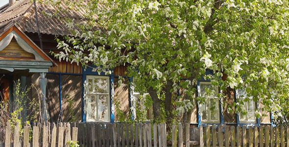 Old Village House 2 alt