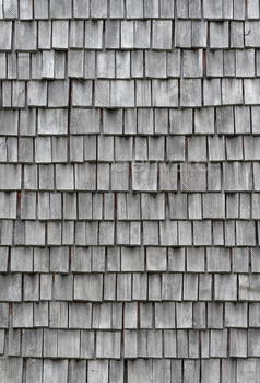 s, exterior wall or roof of rustic building