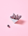Pine cones in a cardboard triangular box on a pink background with copy space for text. Creative - PhotoDune Item for Sale