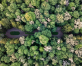 Top view of the green park on a summer day. Aerial view from the drone - PhotoDune Item for Sale