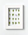 Plant frame with green pine needles pattern on a light background. Greeting card - PhotoDune Item for Sale