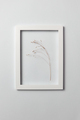 Natural organic frame with dry plant branch on a light gray background - PhotoDune Item for Sale