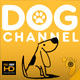Dog Channel Broadcast Pack - VideoHive Item for Sale