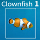 Clownfish 1 - VideoHive Item for Sale