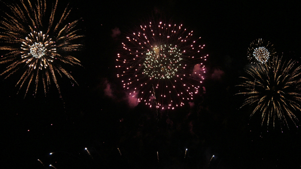 Fireworks On Night Sky