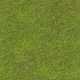 Grass Texture - 3DOcean Item for Sale
