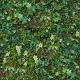 Grass Texture - 3DOcean Item for Sale