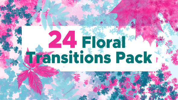 24 Floral Transition Pack