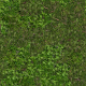 Grass Texture - 3DOcean Item for Sale