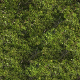 Grass Texture - 3DOcean Item for Sale