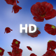 Rose - VideoHive Item for Sale