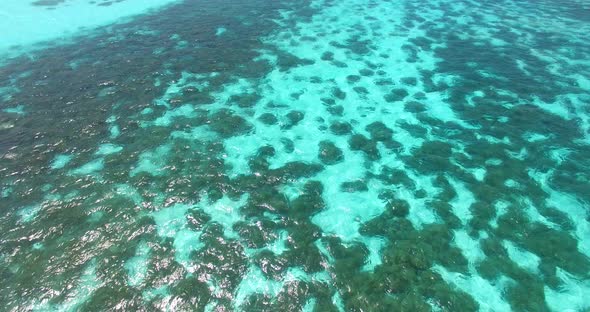 Abstract sea texture with brown coral reefs pattern into turquoise shallow water of lagoon near seas