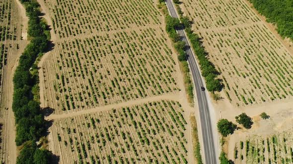 Agricultural area and farming lands