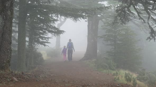 Family Walk Through A Mysterious Foggy Forest