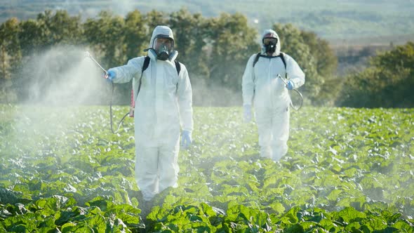 Agricultural Technicians in Protective Suits with a Mask on Their Face