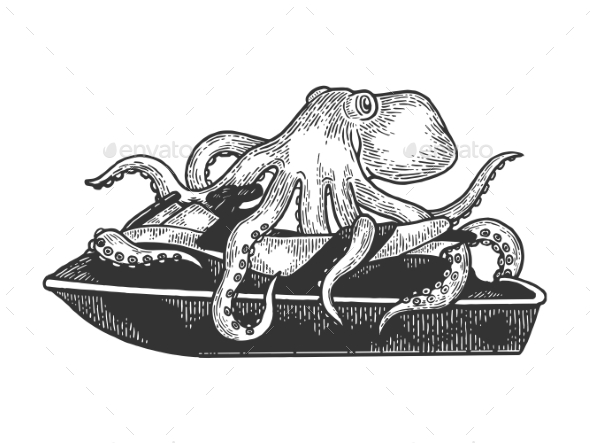 Octopus on Jetski Water Bike Sketch Vector
