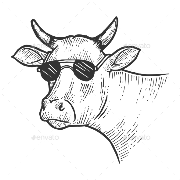 Cow Animal in Sunglasses Sketch Engraving Vector