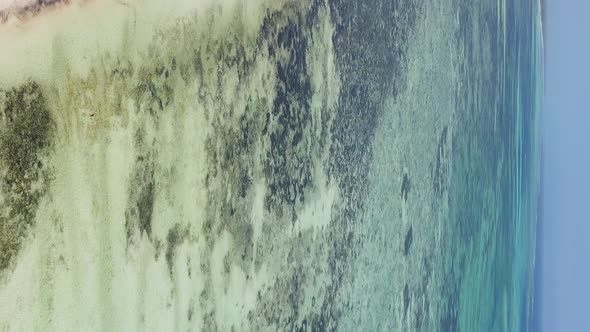 Vertical Video of the Ocean Near the Coast of Zanzibar Tanzania Aerial View