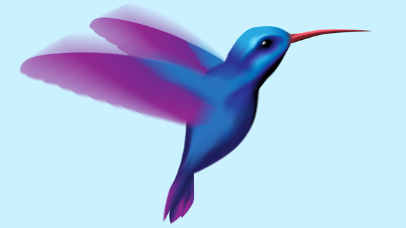 Hummingbird