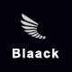 Blaack - Multipurpose Responsive Email Template - ThemeForest Item for Sale