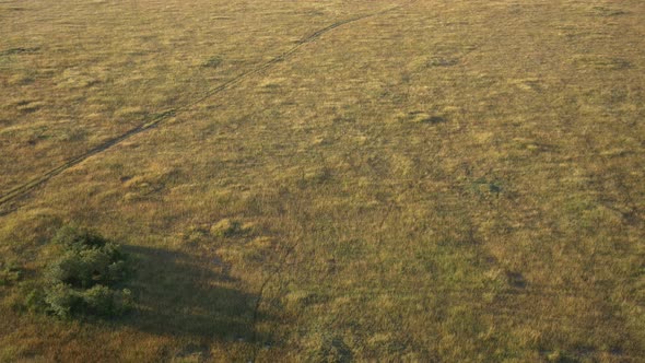 Aerial view of the grasslands