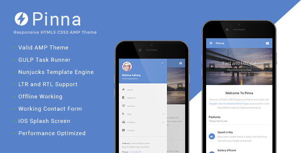 Pinna - Google AMP Template