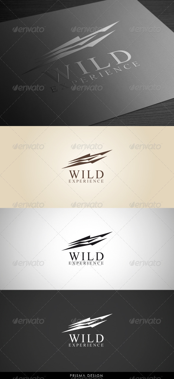 Wild Experience Logo