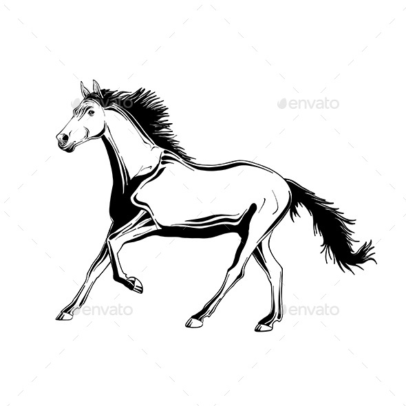 Hand Drawn Sketch of Running Horse