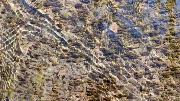 Water Flows Over the Surface of an Old Stone Overgrown with Muloi