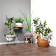Stool and Pots with Plants - 3DOcean Item for Sale