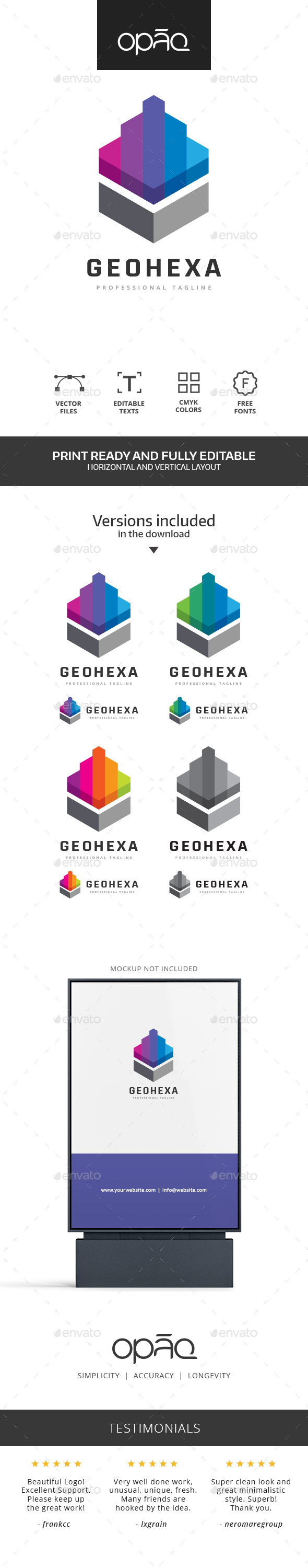 Geometric Hexagonal Shape Logo