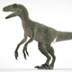 Velociraptor - 3DOcean Item for Sale