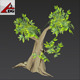 Trees LowPoly - 3DOcean Item for Sale