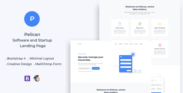 Pelican Startup and Software Landing Page