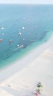 Vertical Video of the Beach on Zanzibar Island Tanzania