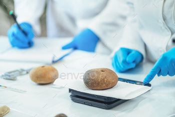 Archaeologist Measuring Prehistoric Weight on a Precision Scale in Laboratory