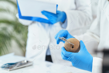 Archeology Scientists Measuring Prehistoric Artefact with Digital Caliper in Laboratory