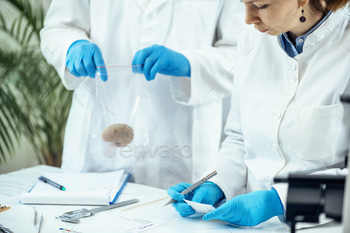 Archeology Scientists Working in Laboratory