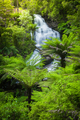 Lush Waterfall  - PhotoDune Item for Sale