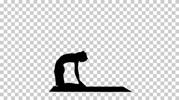 Silhouette Man working out, yoga, pilates, Alpha Channel alt